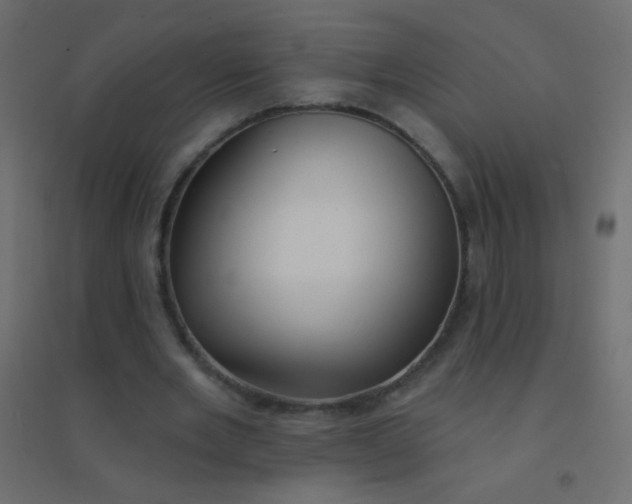 X0000094920485200712131518