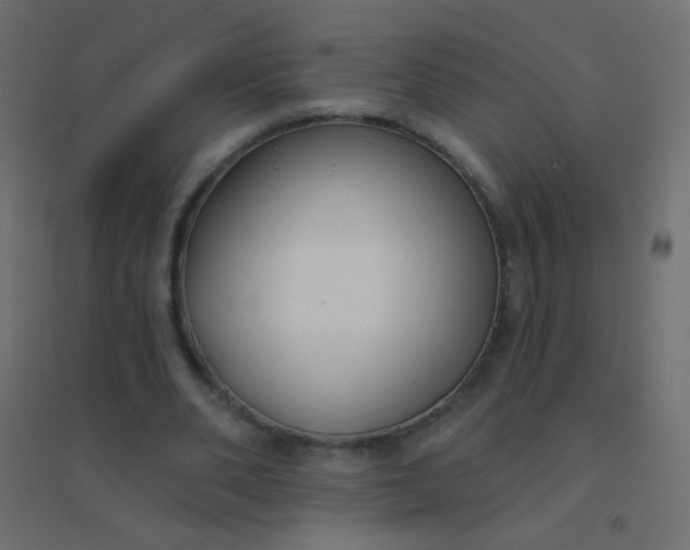 X0000094920486200712131518