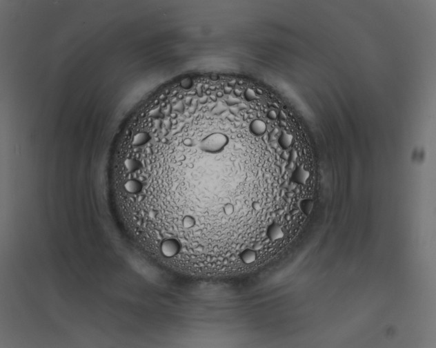 X0000094920487200712131518