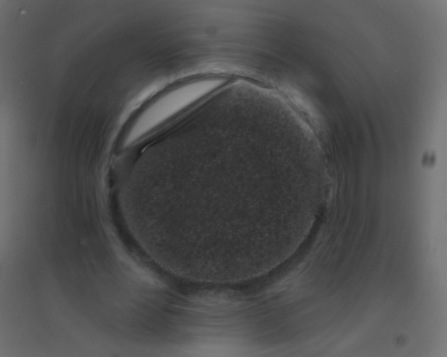 X0000094920488200712131518