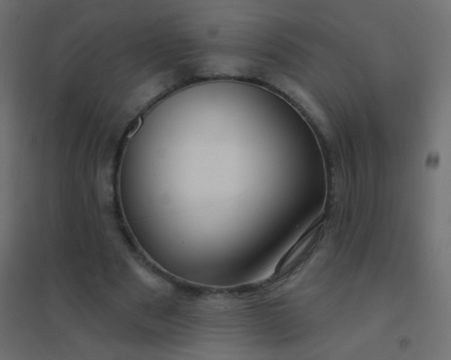 X0000094920489200712131518