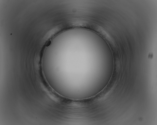 X0000094920490200712131518