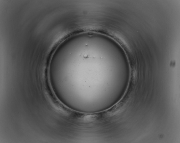 X0000094920491200712131518