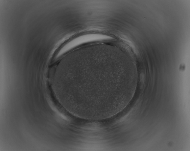 X0000094920492200712131518