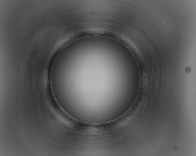 X0000094920494200712131518