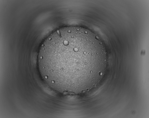 X0000094920495200712131518