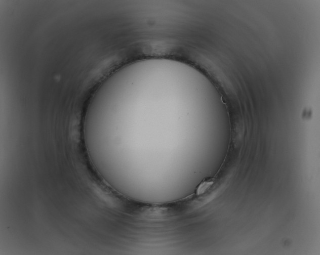 X0000094920497200712131518