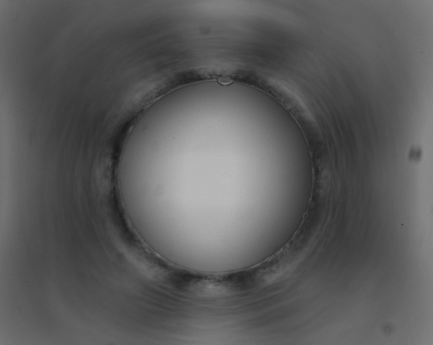 X0000094920498200712131518