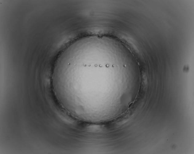 X0000094920499200712131518