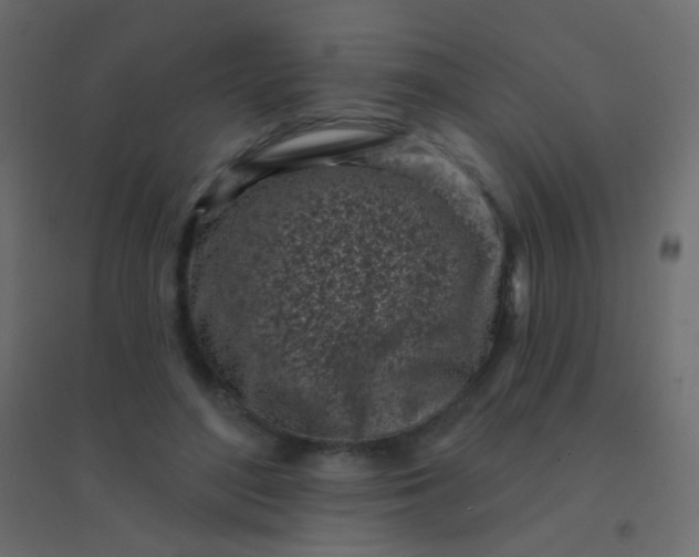 X0000094920500200712131518