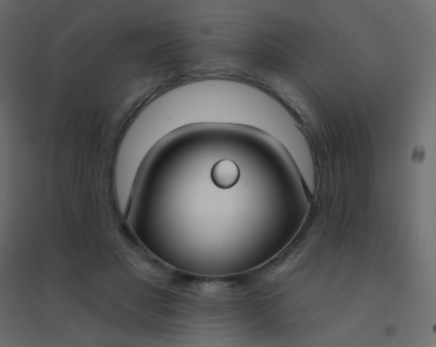 X0000094920501200712131518