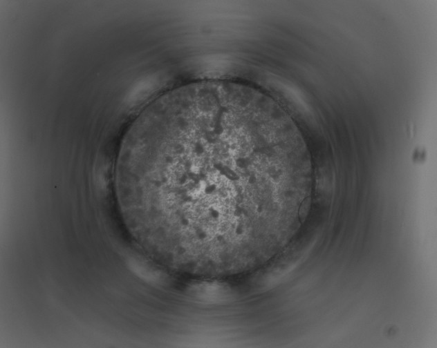 X0000094920503200712131518