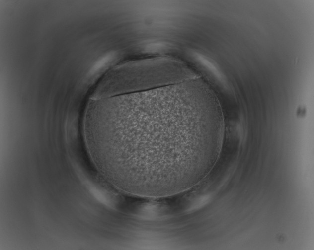 X0000094920504200712131518