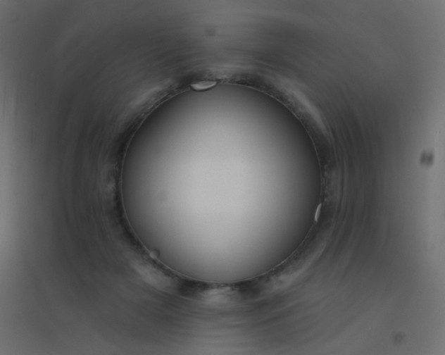 X0000094920505200712131518