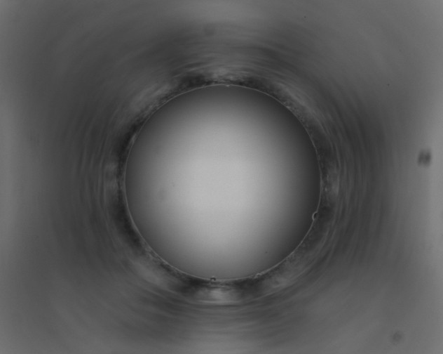 X0000094920506200712131518