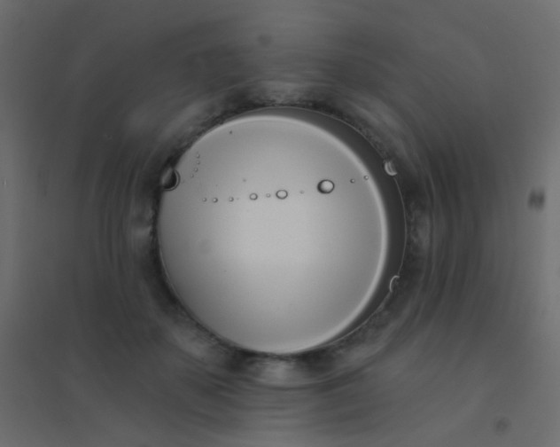 X0000094920507200712131518