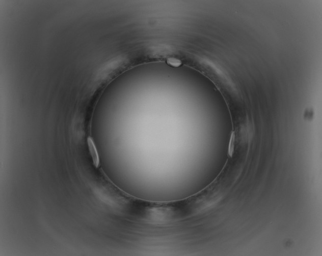 X0000094920508200712131518