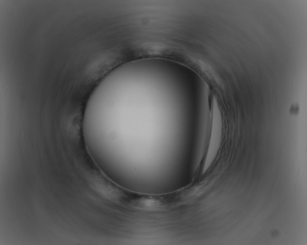 X0000094920509200712131518