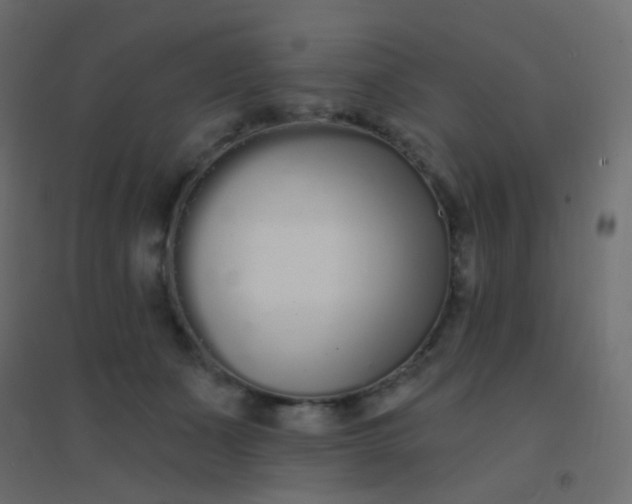 X0000094920511200712131518