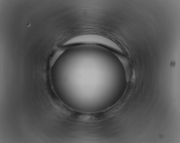 X0000094920512200712131518