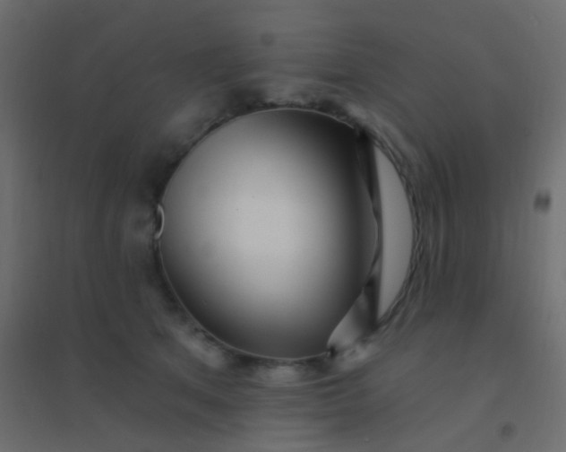 X0000094920513200712131518