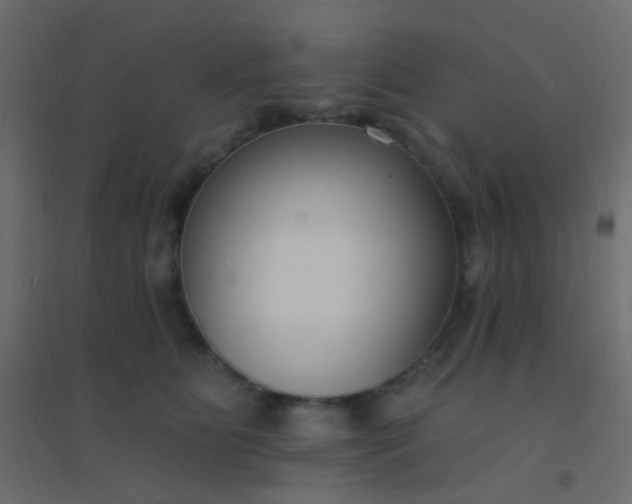 X0000094920515200712131518