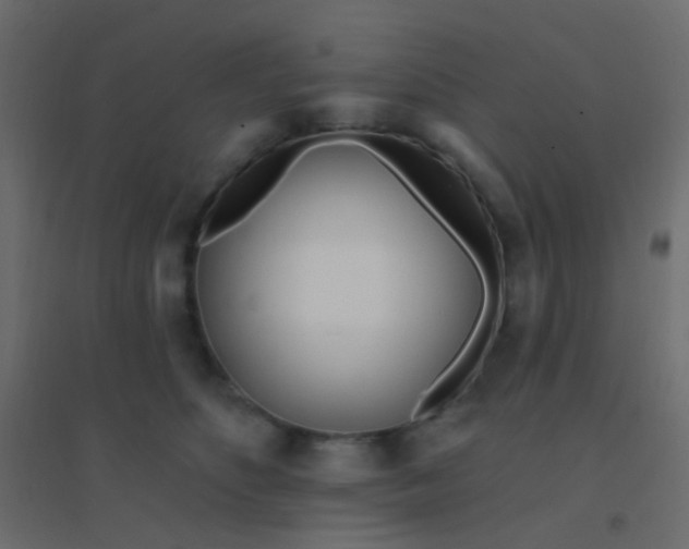 X0000094920516200712131517