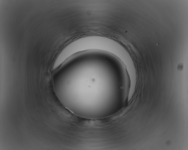 X0000094920517200712131517