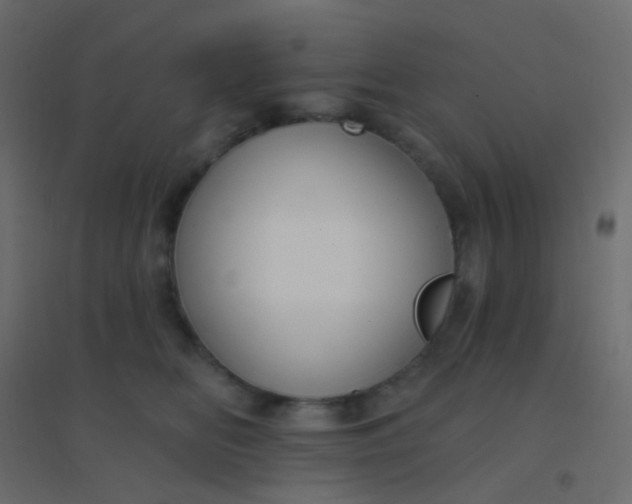 X0000094920518200712131517