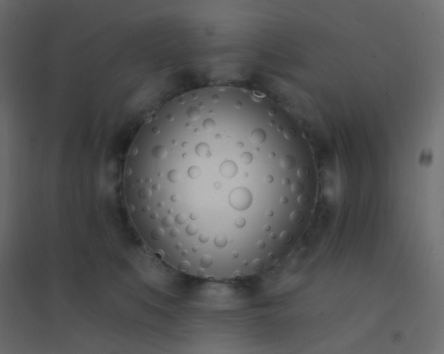 X0000094920519200712131517