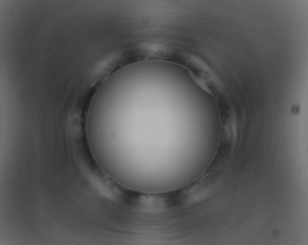 X0000094920520200712131517