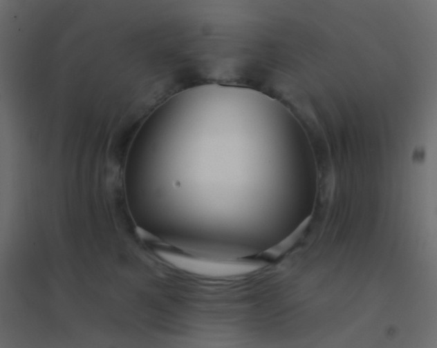 X0000094920521200712131517