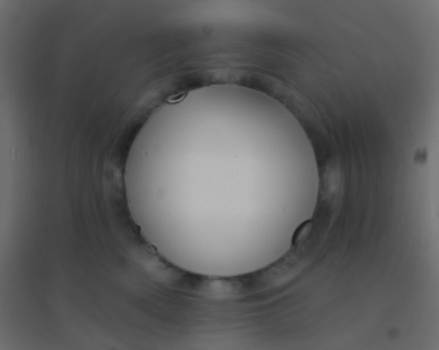 X0000094920522200712131517