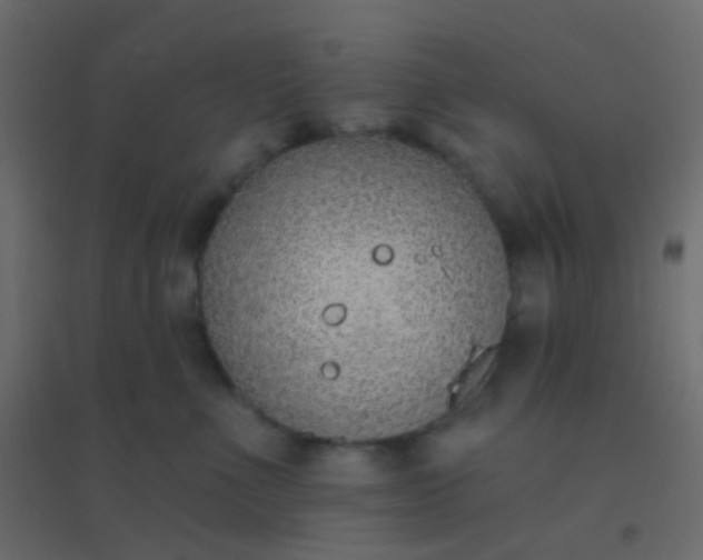 X0000094920523200712131517