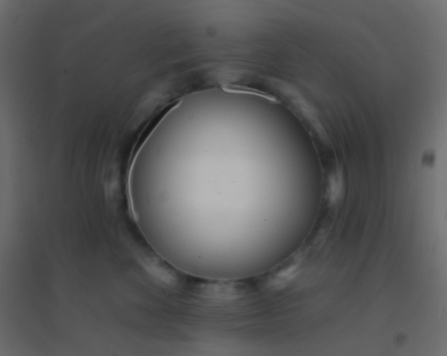 X0000094920524200712131517