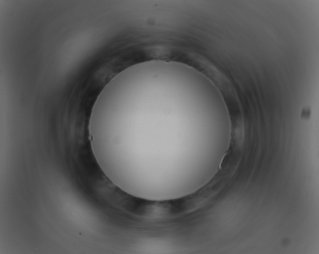 X0000094920525200712131517