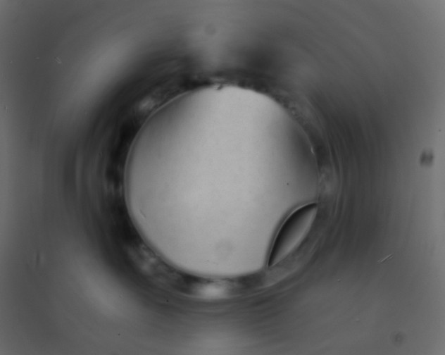 X0000094920527200712131517