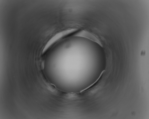 X0000094920528200712131517