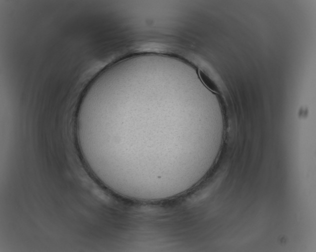 X0000094920529200712131517