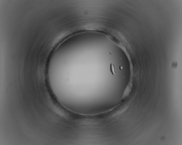 X0000094920530200712131517