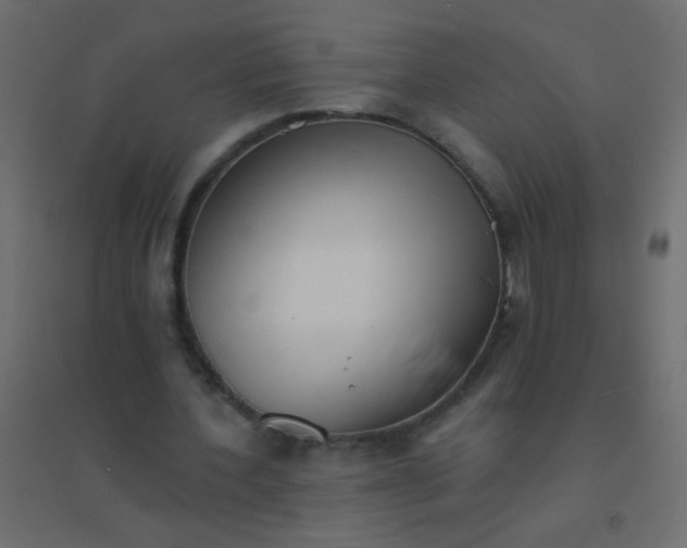 X0000094920532200712131517