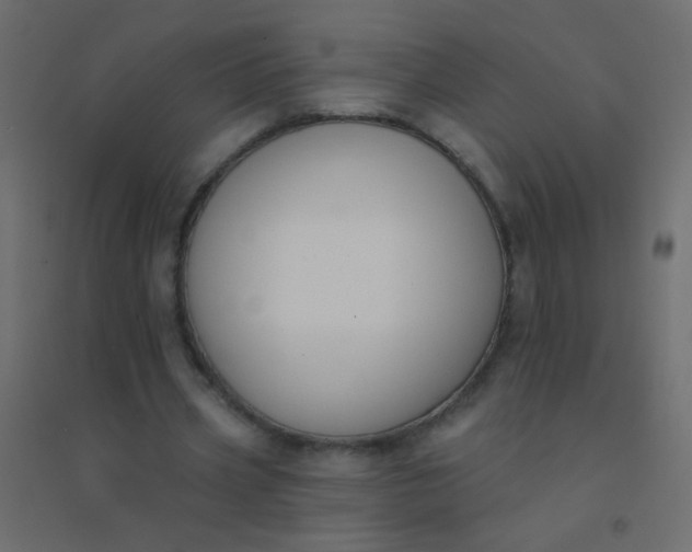 X0000094920533200712131517