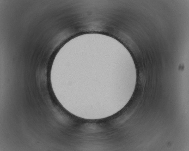 X0000094920534200712131517