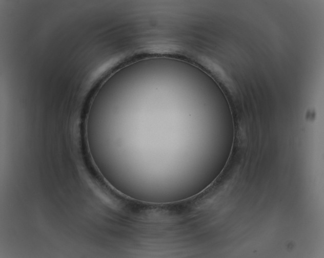 X0000094920535200712131517