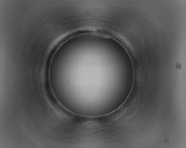 X0000094920536200712131517