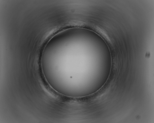 X0000094920538200712131517