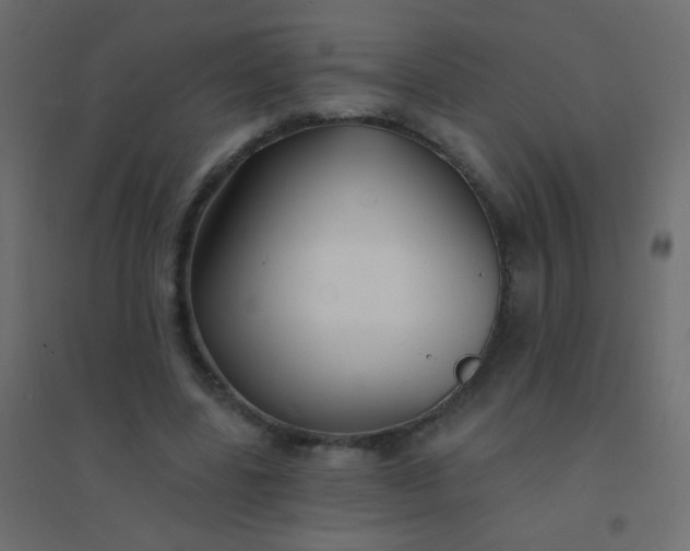 X0000094920539200712131517