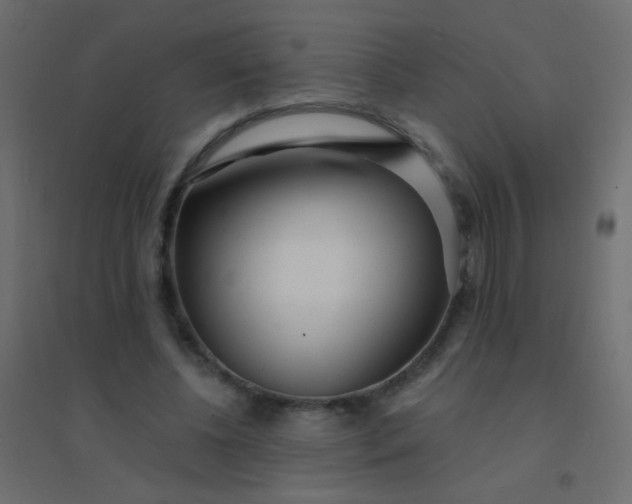 X0000094920540200712131517