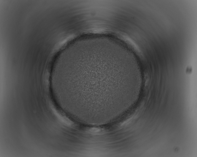 X0000094920542200712131517