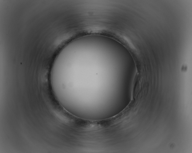 X0000094920543200712131517